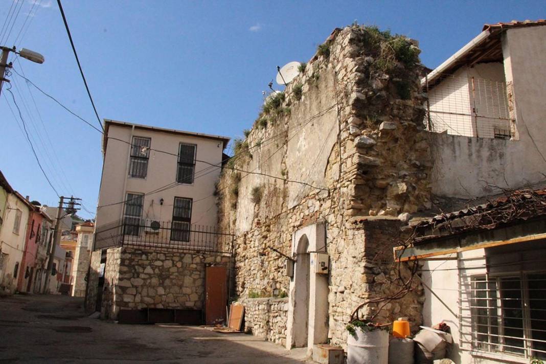 Kapanma ile ortaya çıktılar! Kuşadası'nda siyah yılan paniği 1